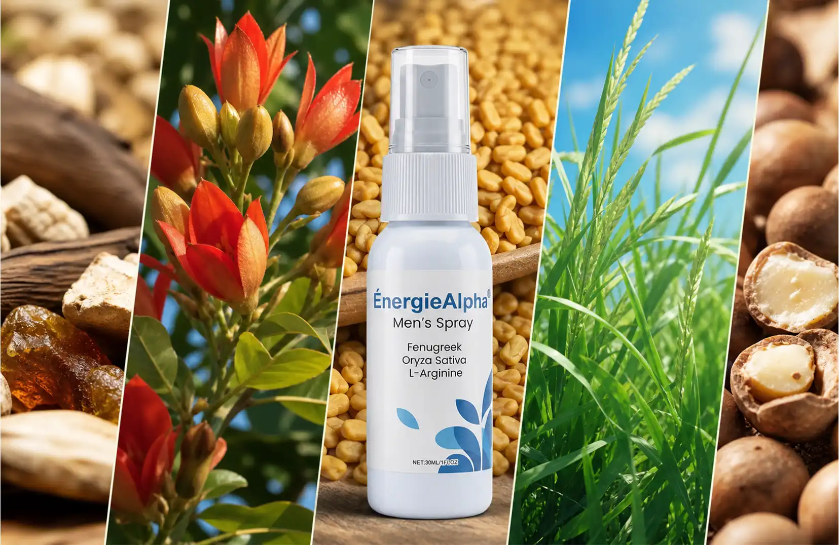 Active ingredients of the formula
